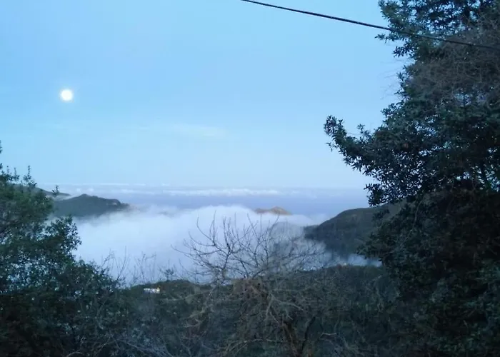 Monte Verde