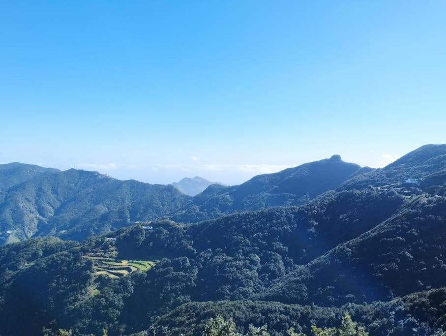 Monte