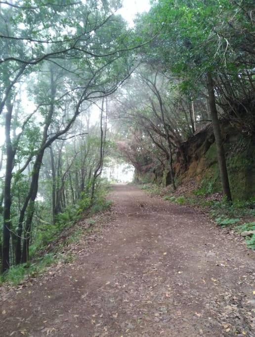 Monte * Chinamada